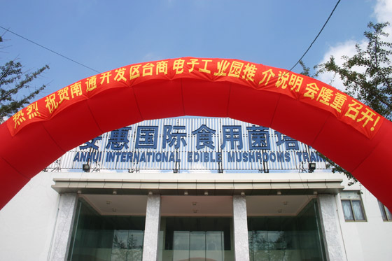 利来·国际