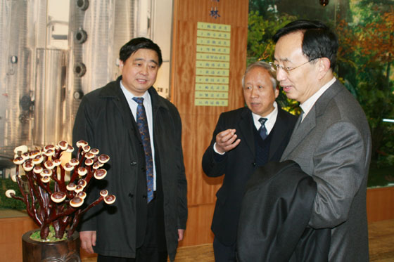 利来·国际