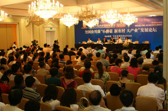 利来·国际 利来·国际